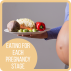 Eating For Each Pregnancy Stage