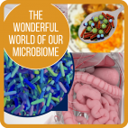The Wonderful World of our Microbiome